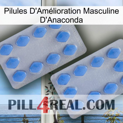 Anaconda Male Enhancement Pills 20